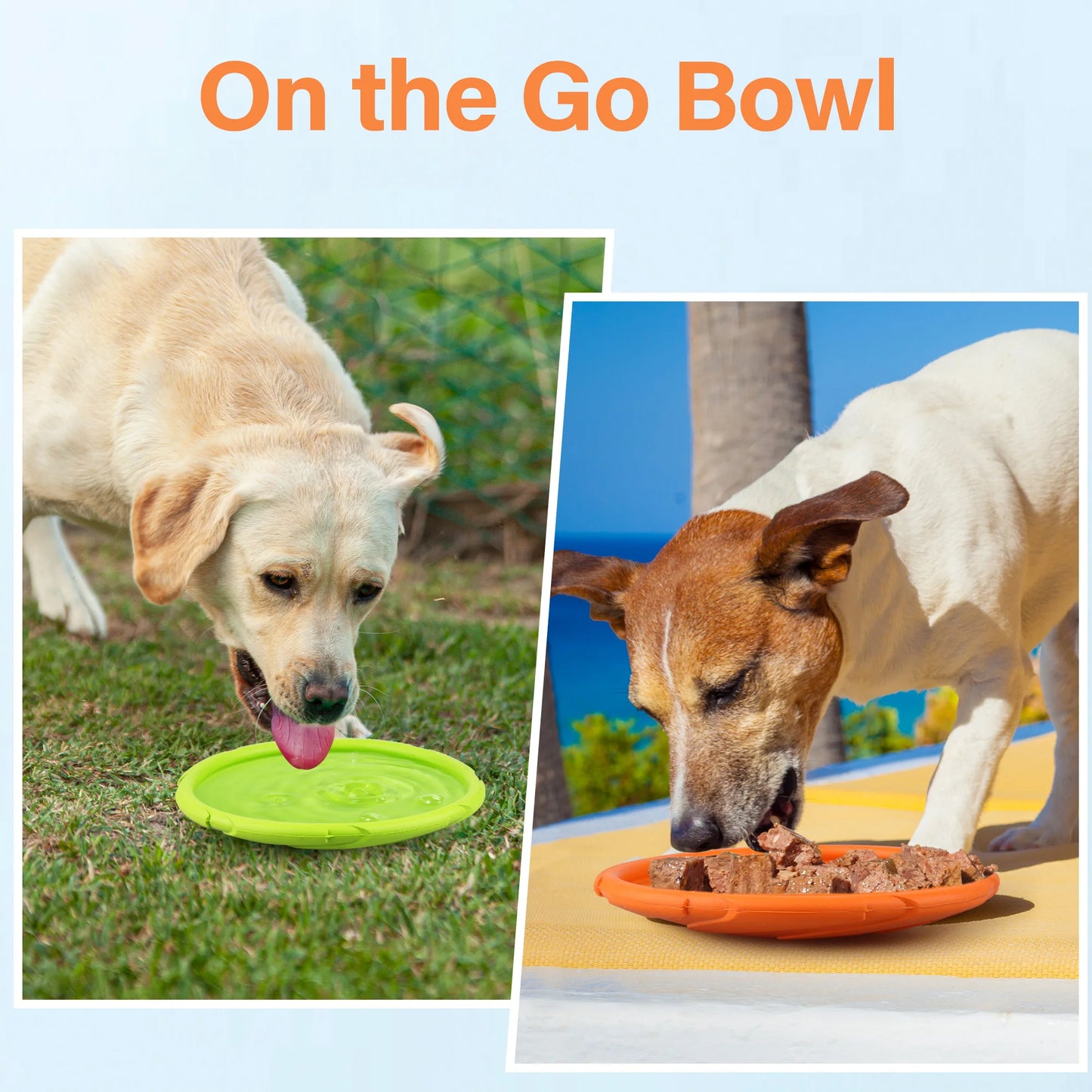 Dog Flying Disc 2 Pack Durable Rubber Floating Saucers