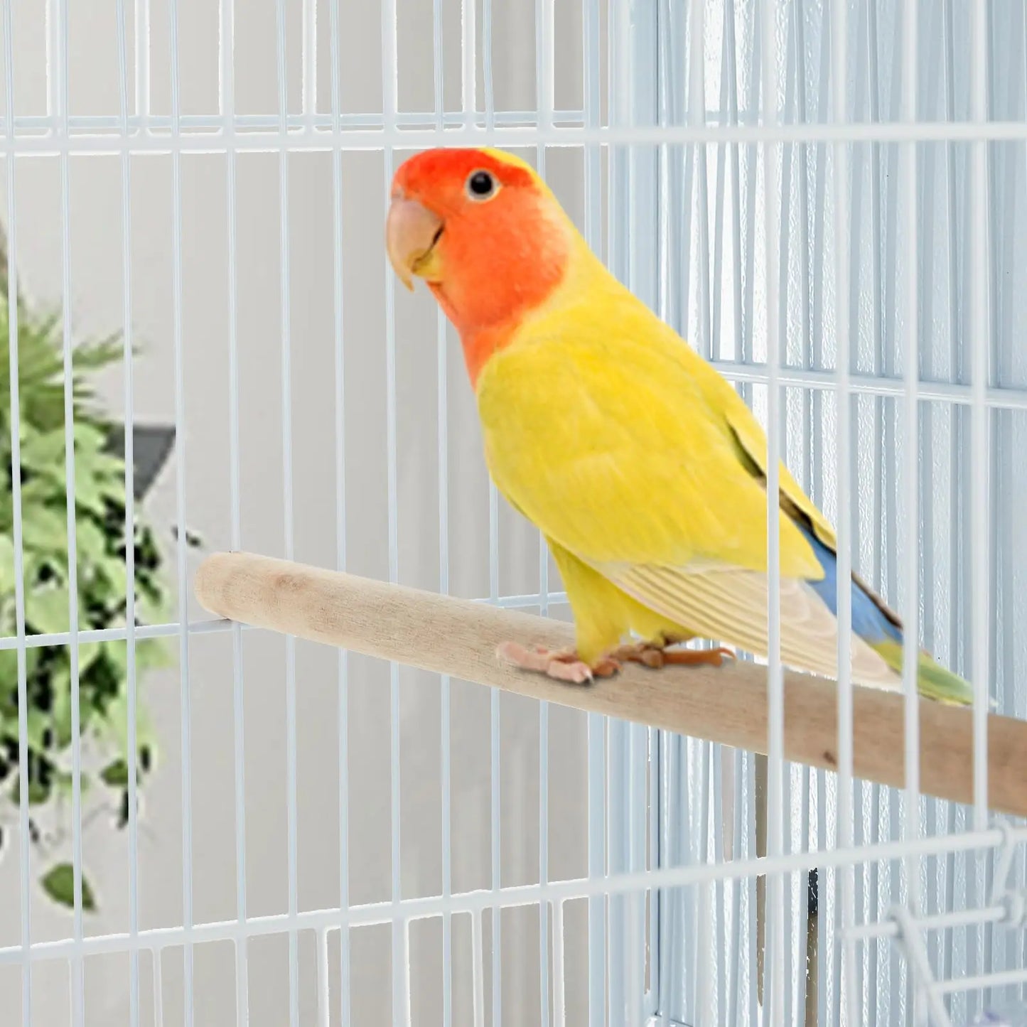 HiMISS Extra Large Metal Bird Cage 4 Tier Parrot Cage Mid Sized Birds