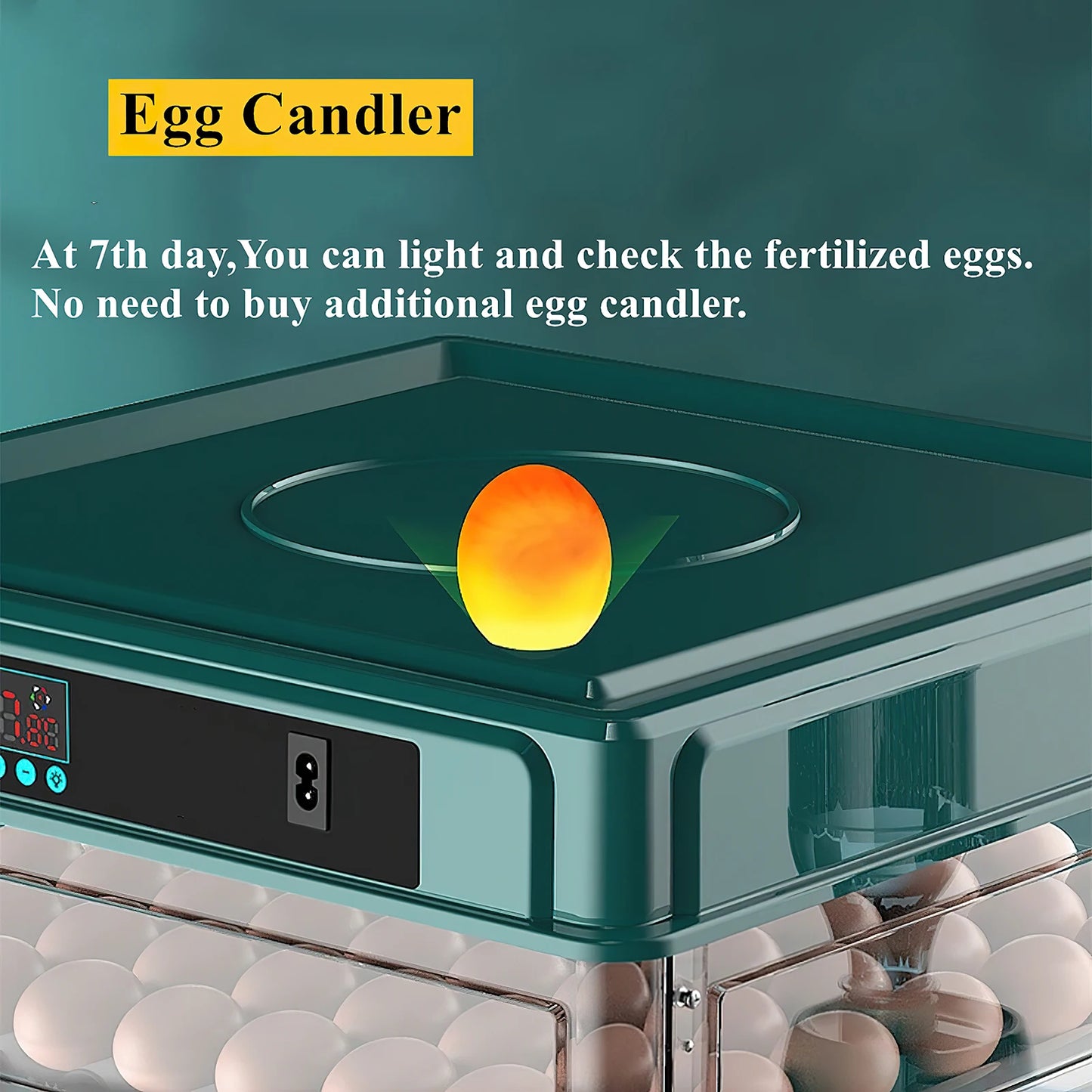 Egg Automatic Incubator For 24-60 Eggs Hatching Poultry