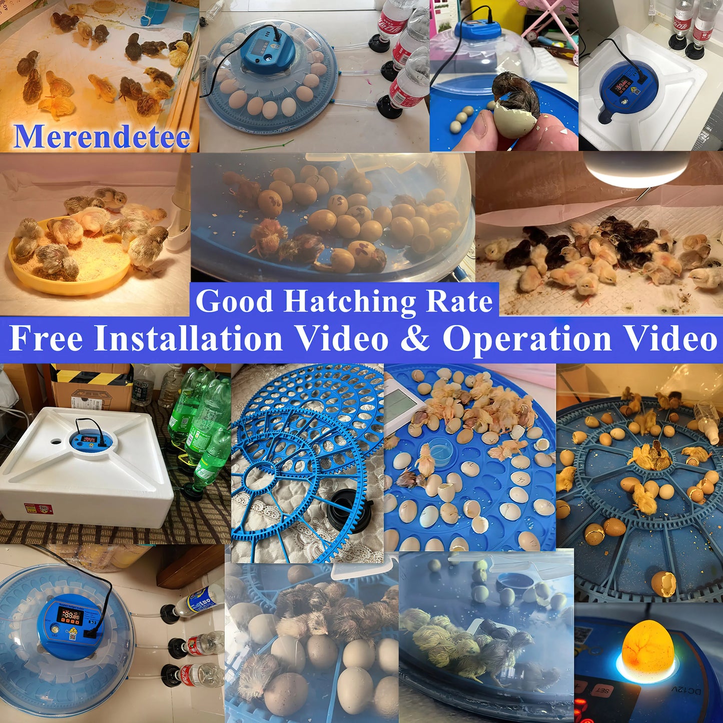 Automatic Egg Incubator With Watering System And 360 Degree View