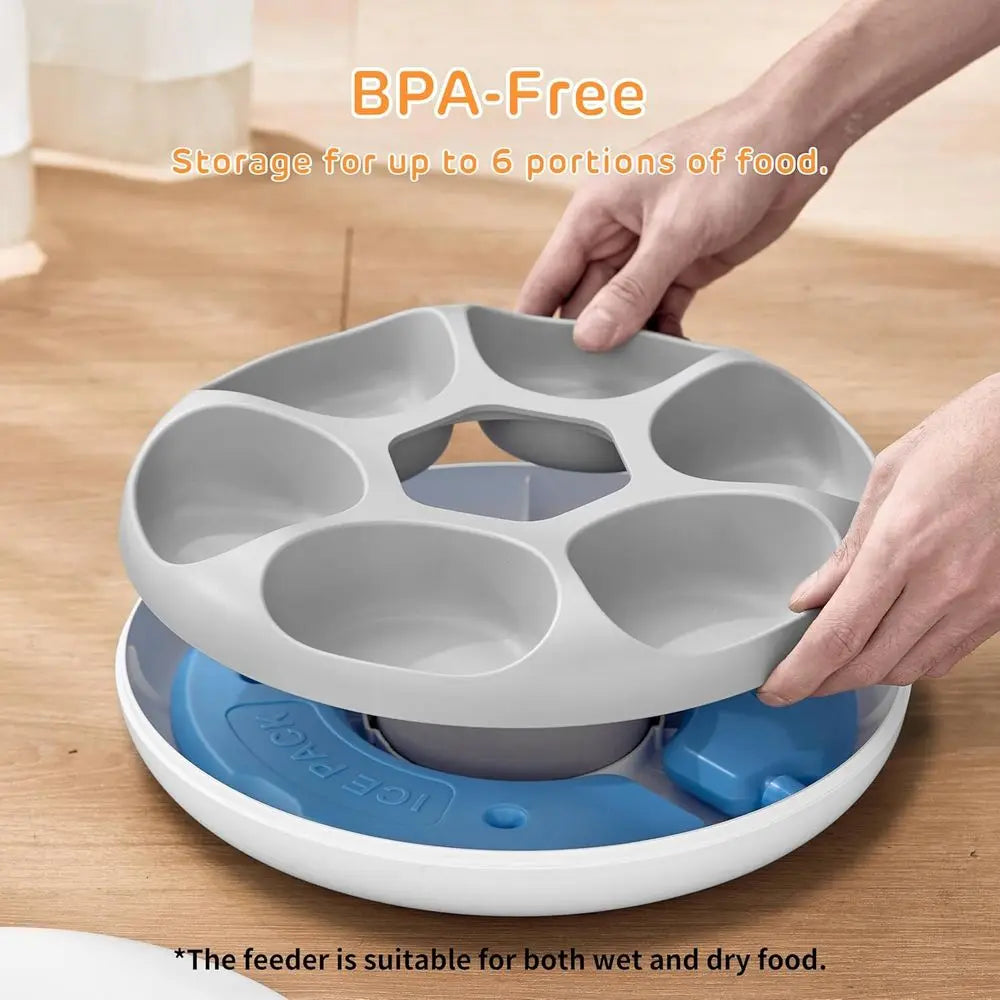 Automatic Cat Feeder 6-Meal Capacity With Ice Packs Rechargeable