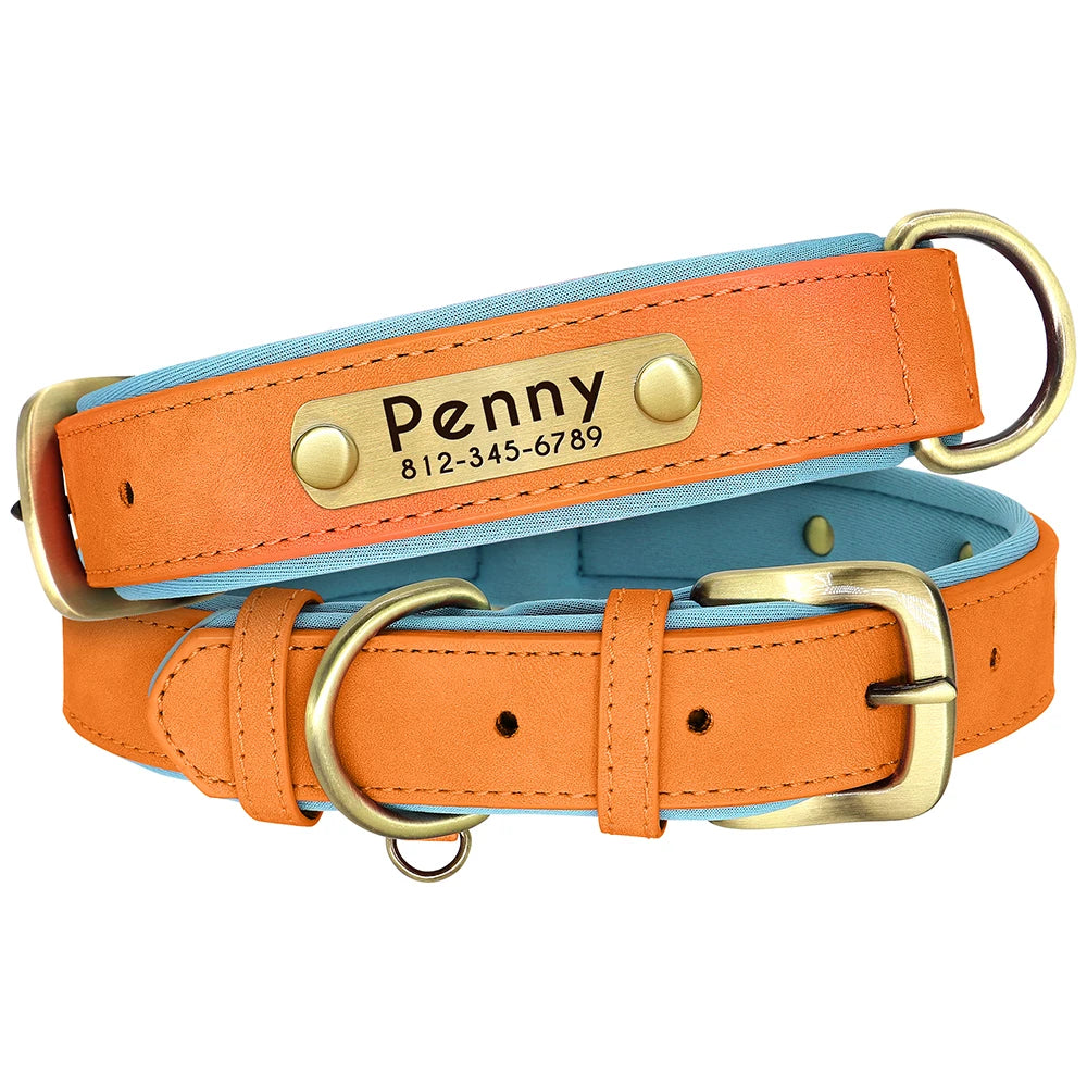Didog PU Leather Nameplate Dog Collar With Engraving