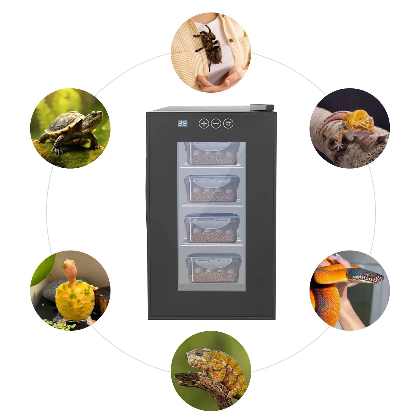 23L Reptile Incubator With Adjustable Temperature Humidity