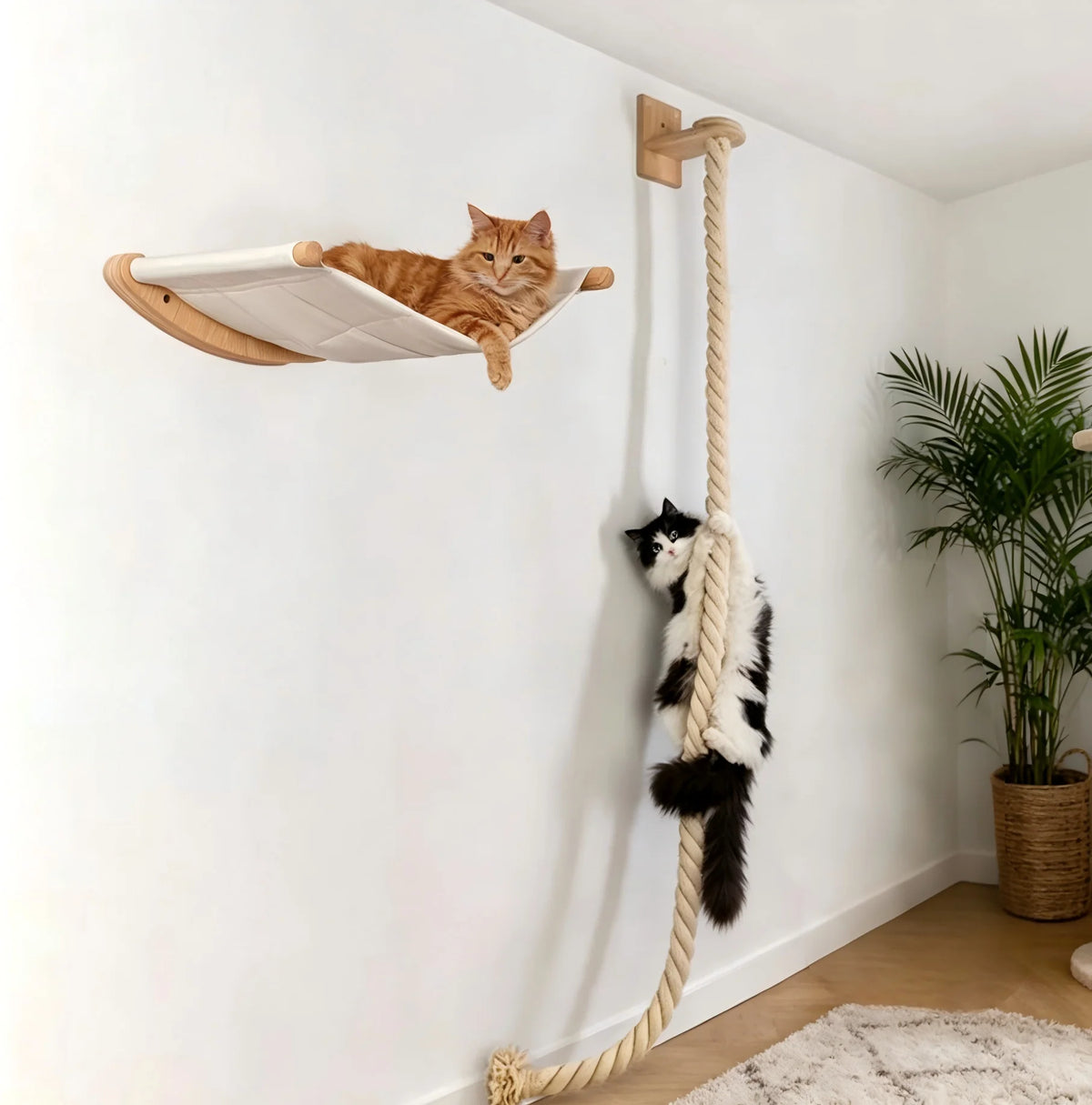 CWV Wall Mounted Cat Hammock With Wooden Climbing Shelf