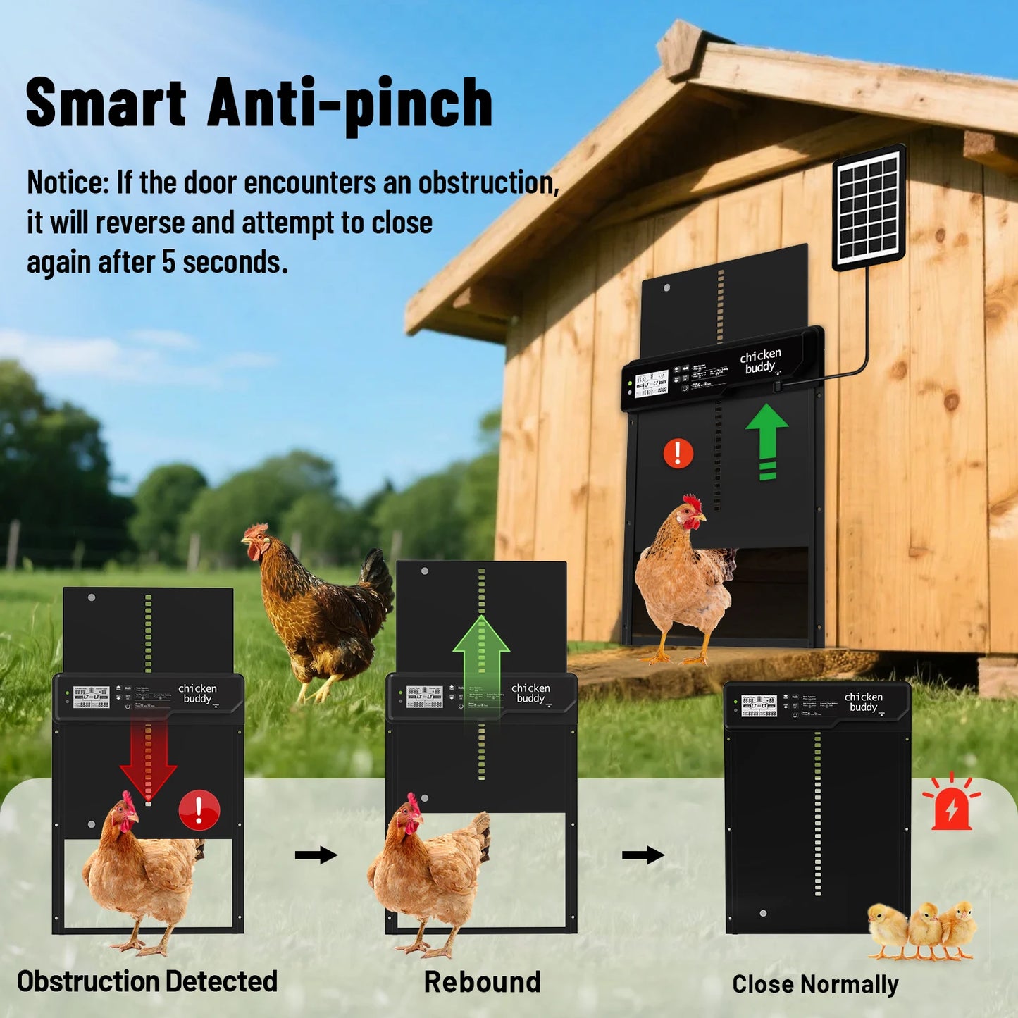 Stainless Steel Chicken Coop Door for Farm Animals