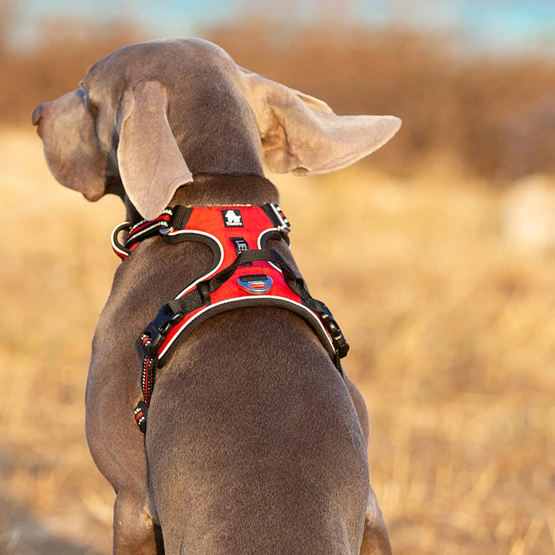 TrueLove Reflective Nylon Dog Harness No Pull Adjustable