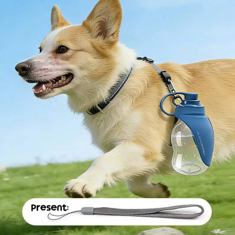 Portable Collapsible Dog Water Bottle With Silicone Drinking Cup
