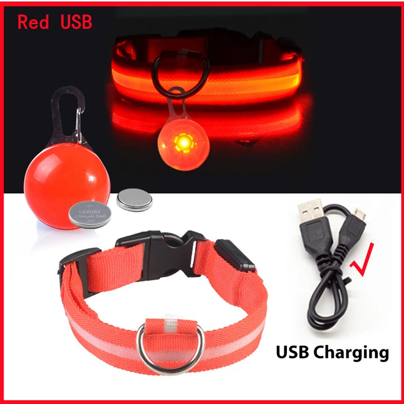 USB Charging Glowing Dog Collar With Pendant Detachable LED Light