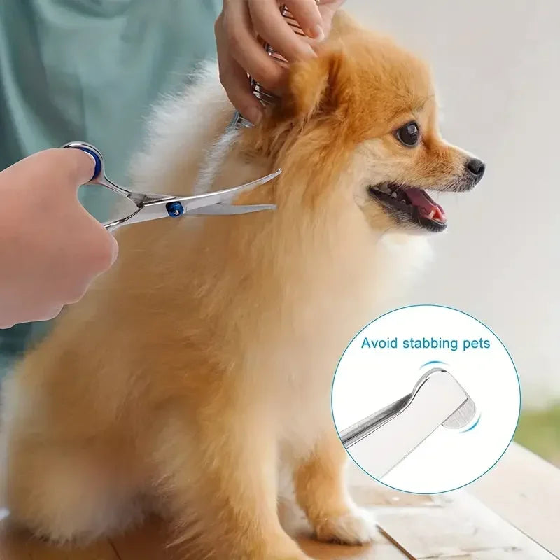 Ambidextrous Pet Safe Stainless Steel Dog Grooming Scissors