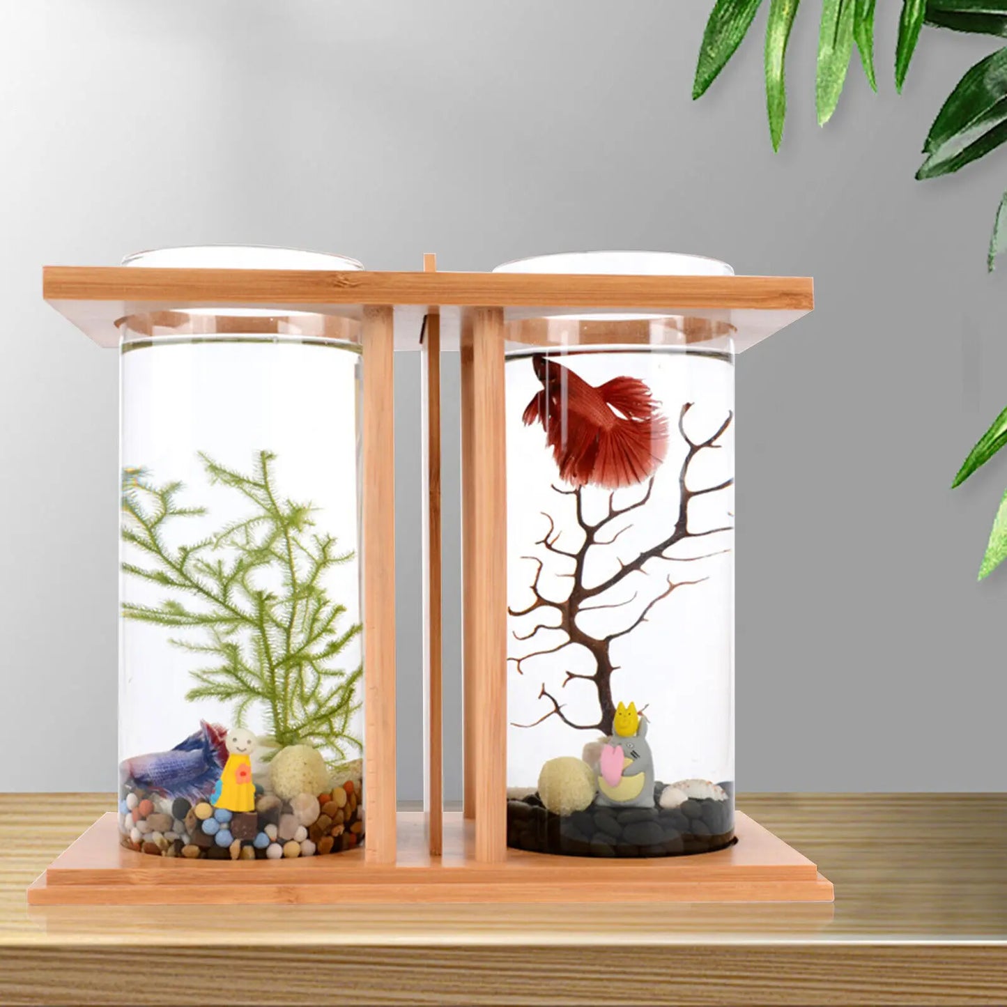 Glass Betta Tank With LED Light Bamboo Base Two Tanks