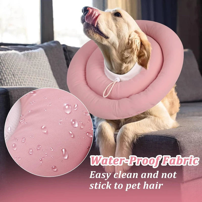 Elizabeth Adjustable Pet Recovery Collar For Dogs And Cats