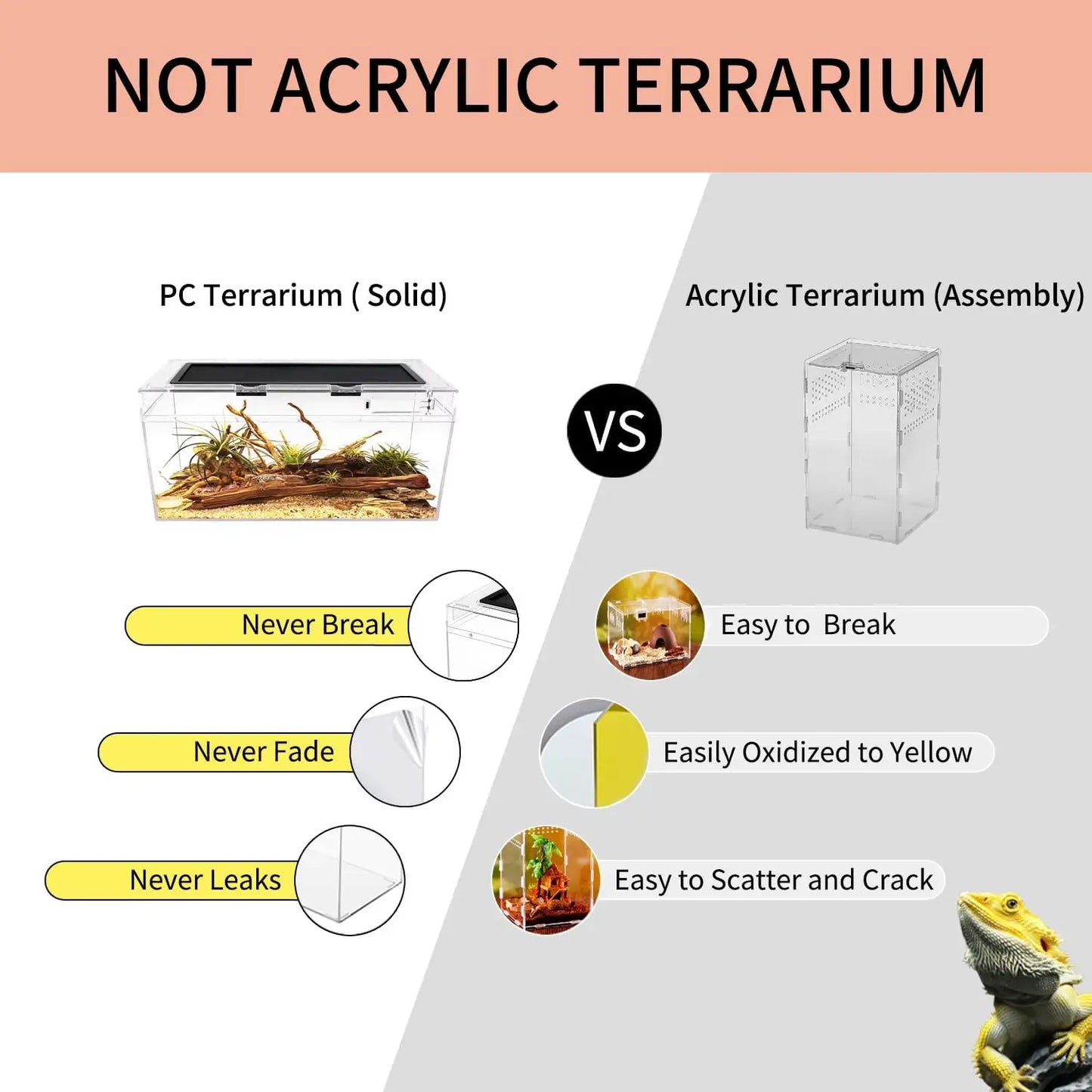 Reptile Terrarium Kit With Accessories For Small Pets