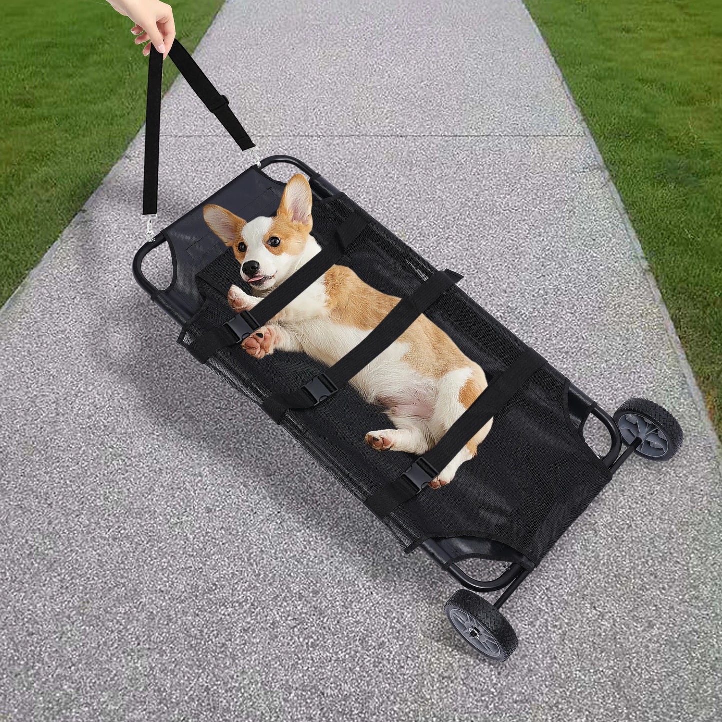 Foldable Pet Stretcher Veterinary Transport Bed For Dogs And Cats