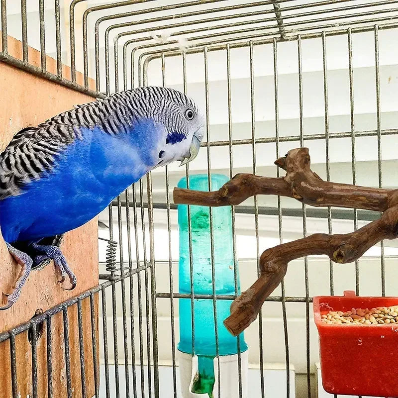 Grapewood Bird Perch For Parrots And Small Pets Chewing Toy