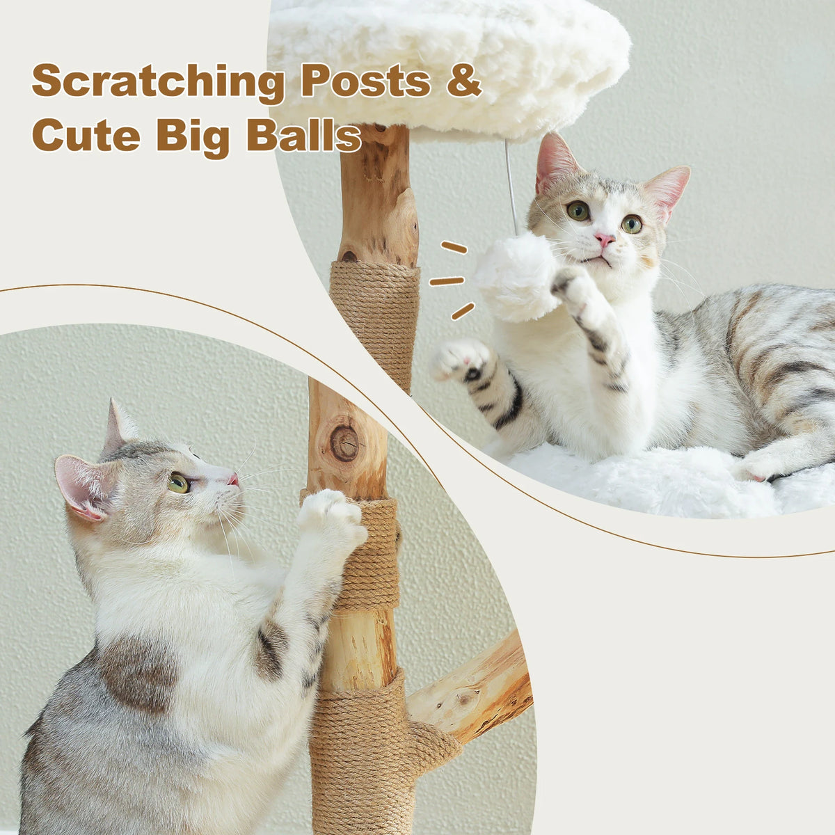 PAWZ Road Flower Cat Tree With Two Perches