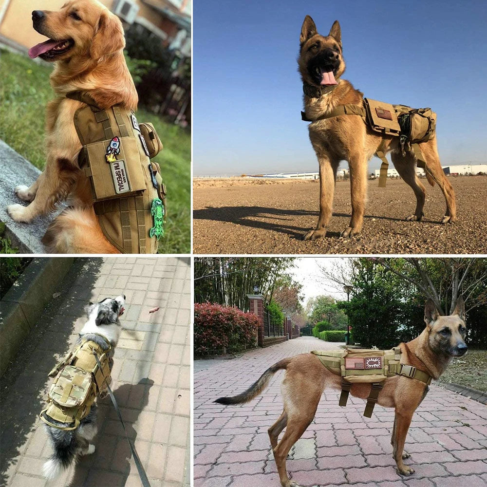 PETRAVEL Tactical Patch Bundle for Dog Vest and Collar