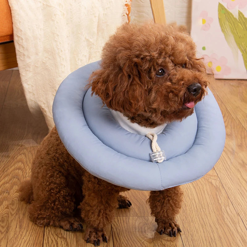 Elizabeth Adjustable Pet Recovery Collar For Dogs And Cats