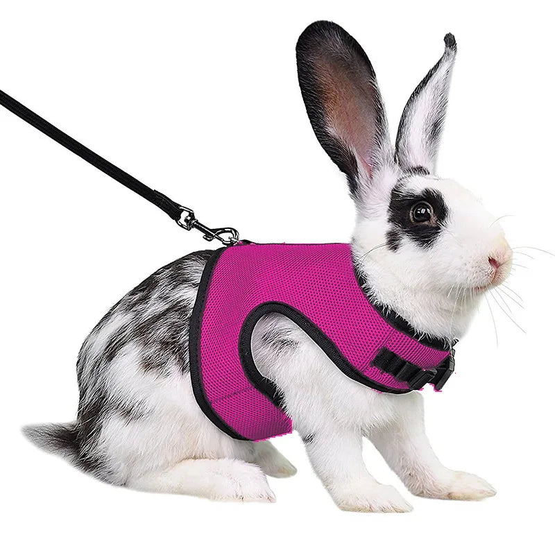 Summer Breathable Mesh Harness for Guinea Pigs, Rabbits, Ferrets