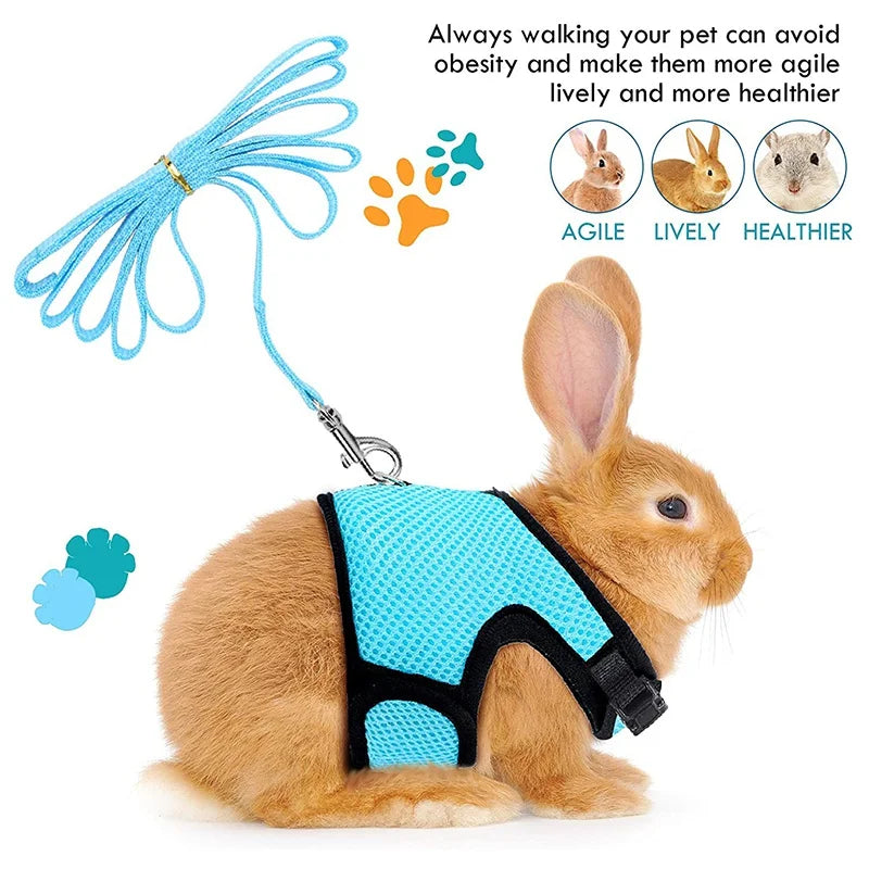 Summer Breathable Mesh Harness for Guinea Pigs, Rabbits, Ferrets