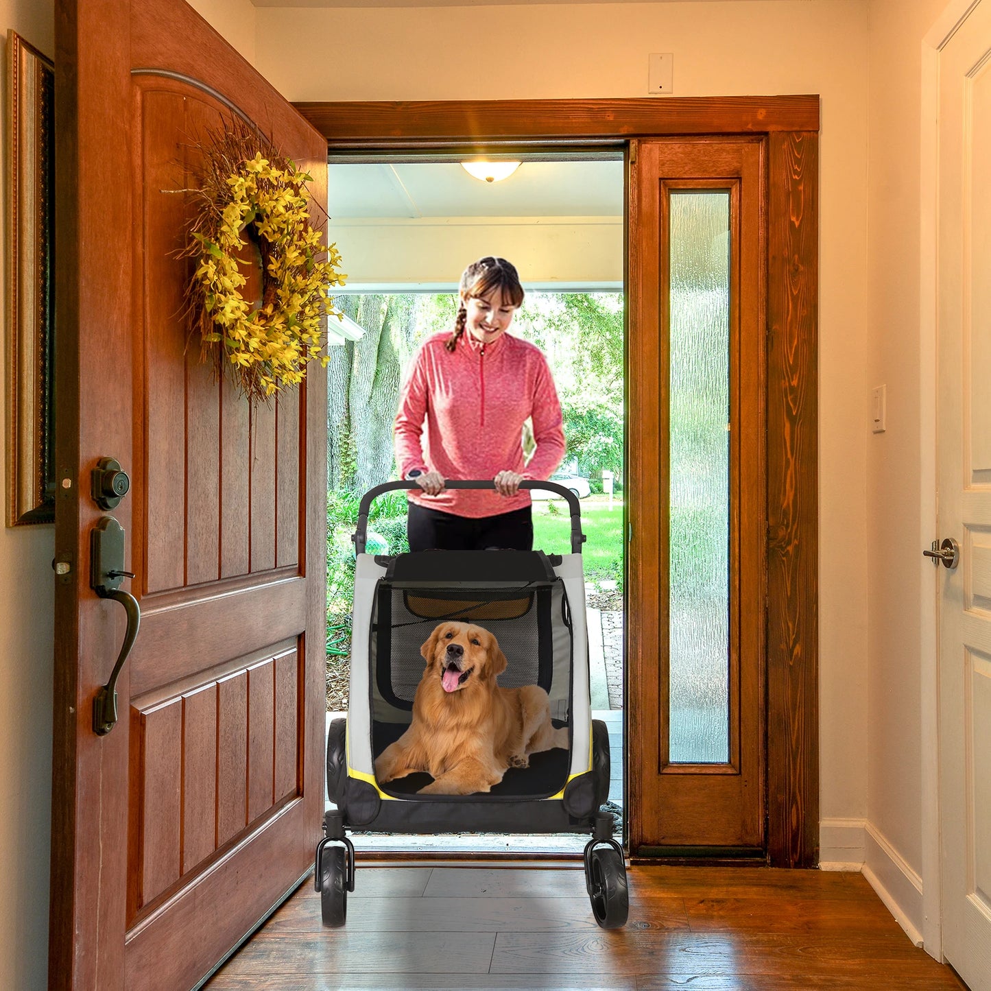 Pet Stroller For Two Dogs Folding Jogger Wagon With Divider