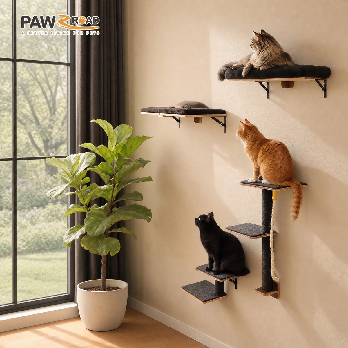 PAWZ Road Wooden Cat Wall Climbing Shelves With Scratching Perches