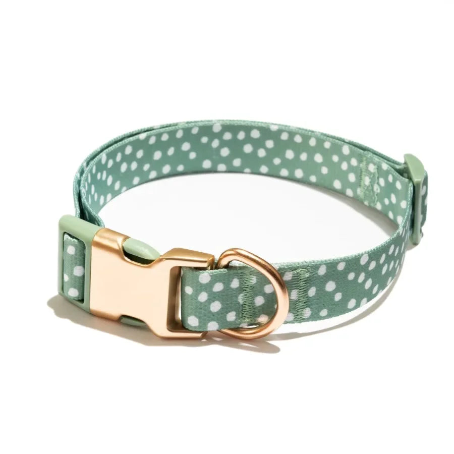 Polka Dot Print Fashion Dog Collar with Metal Buckle and 6ft leash Teal Green Small