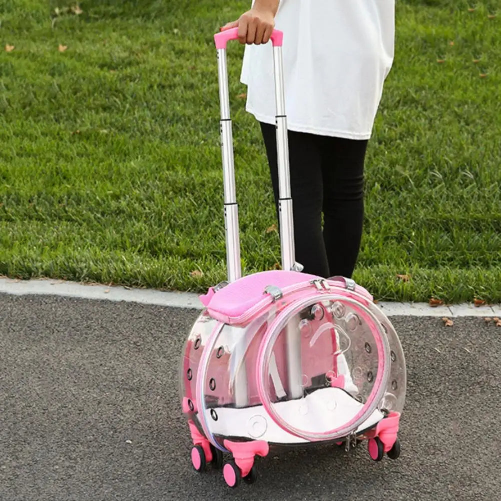 Pet Trolley Case With Ventilation Holes For Cats And Travel