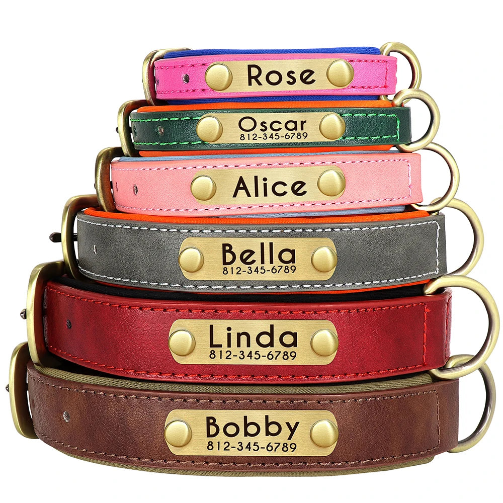 Didog PU Leather Nameplate Dog Collar With Engraving