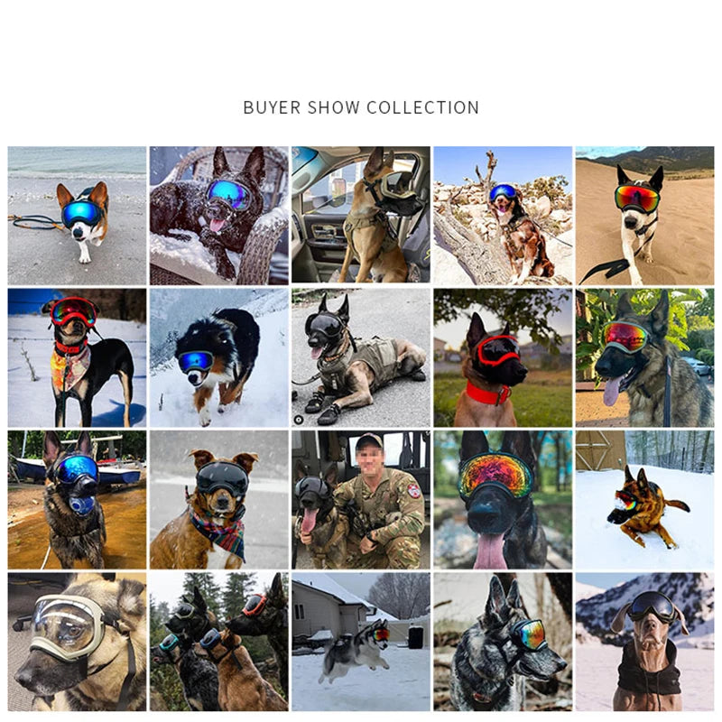 PETRAVEL Dog Goggles UV Protection Glasses for Travel