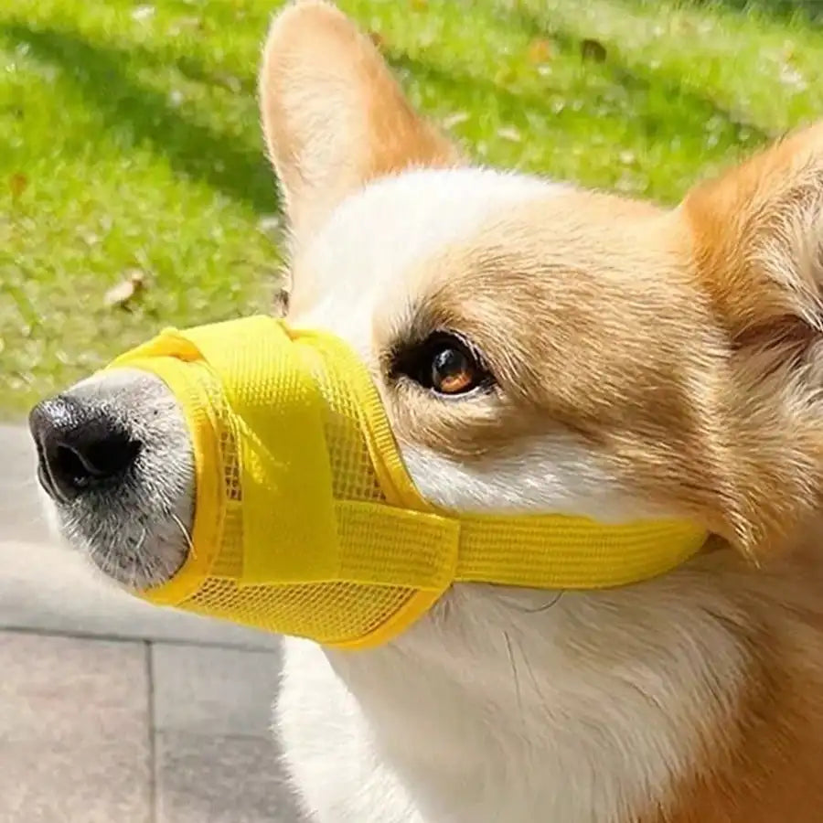 Adjustable Dog Muzzle Anti Bite Anti Bark With Breathable Mesh