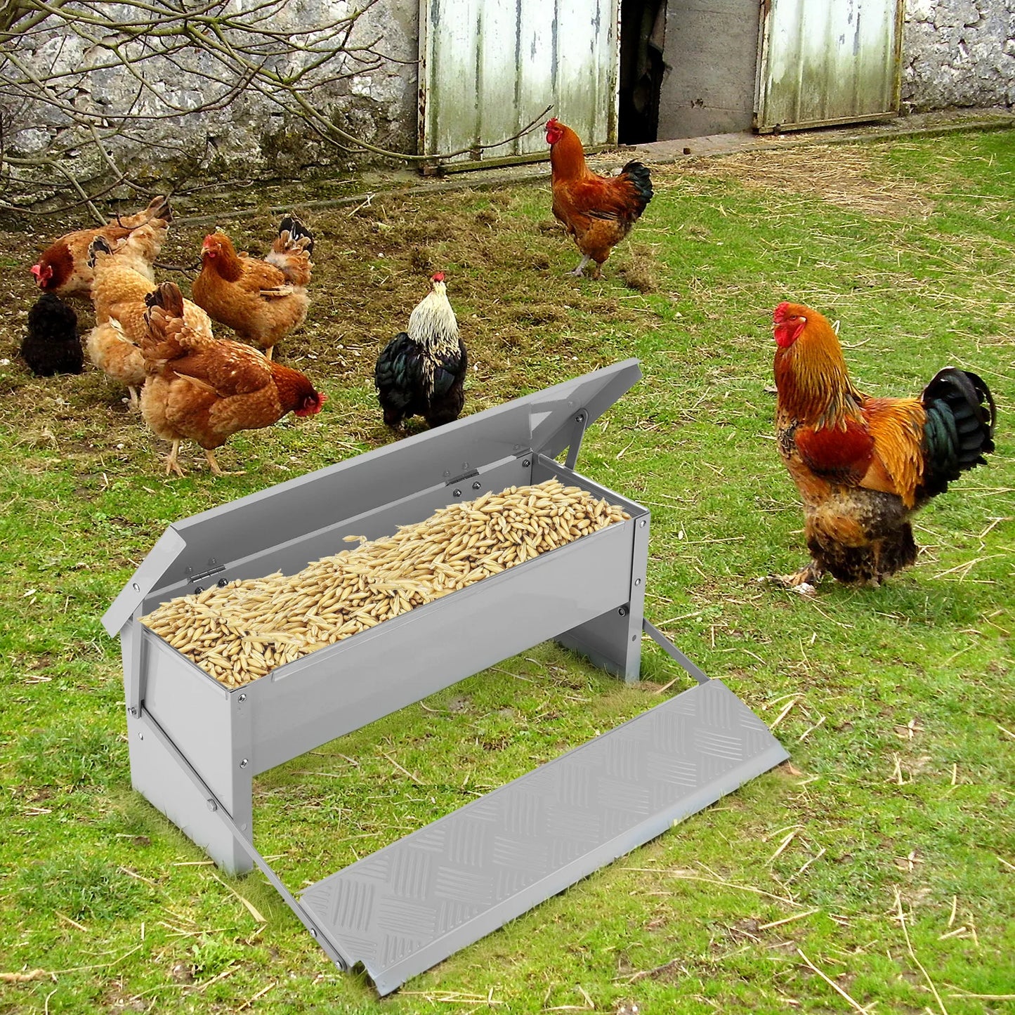 Automatic Chicken Feeder No Waste Treadle 11lb Stainless Steel Poultry Feeder with Weatherproof Lid for Chicken Pheasants Ducks