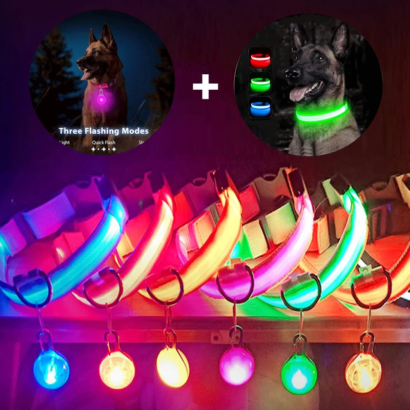 USB Charging Glowing Dog Collar With Pendant Detachable LED Light
