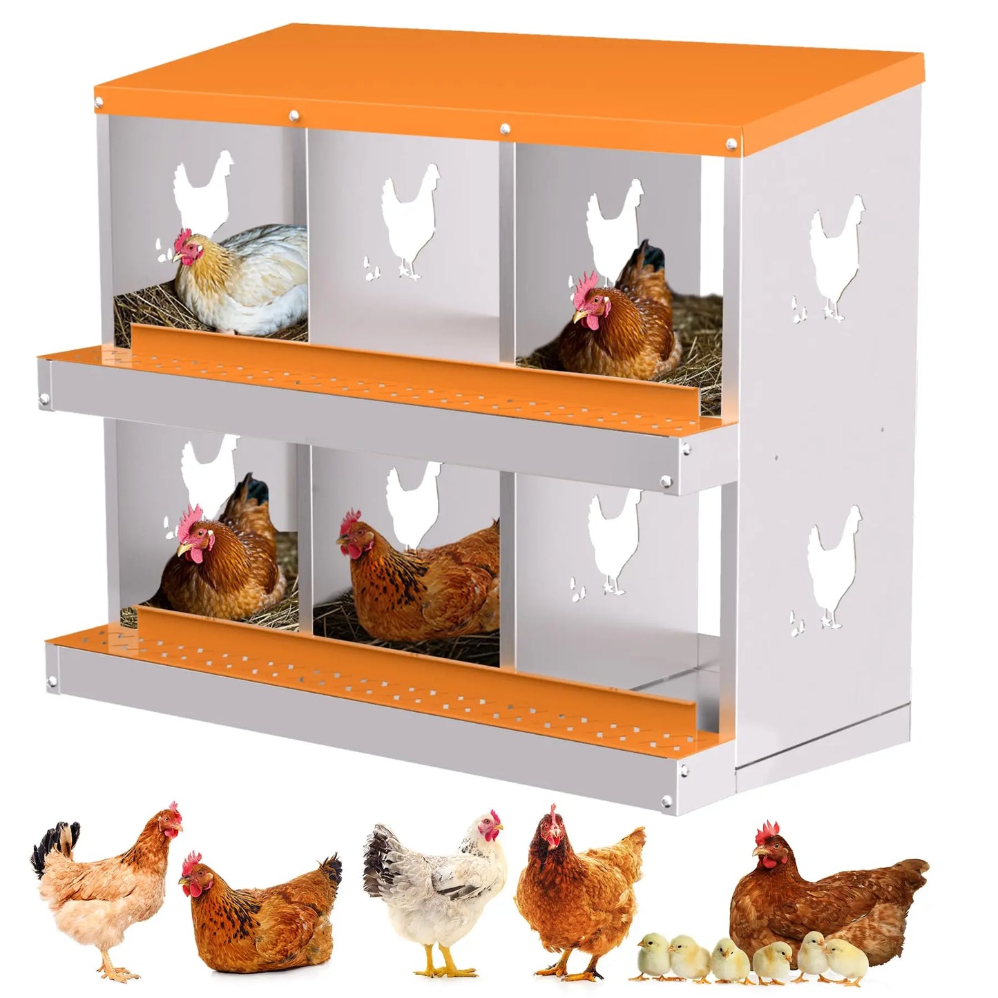 Studyset 6 Compartment Chicken Nesting Box With Removable Tray Wall Mount