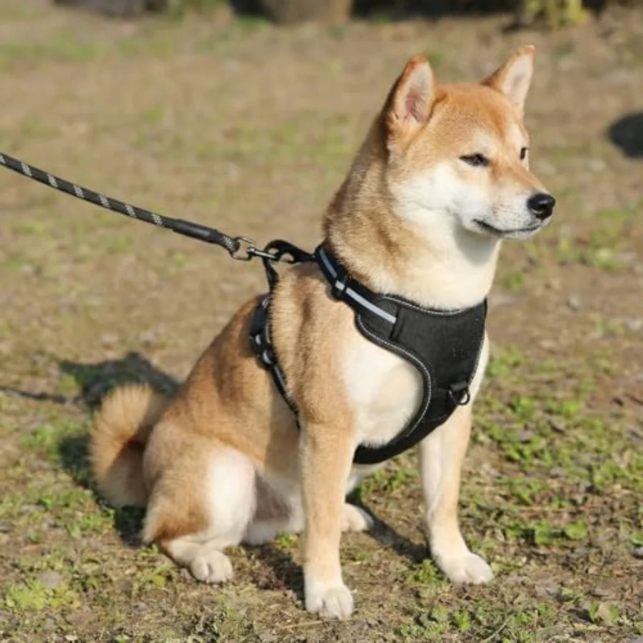 No-Pull Dog Harness, Soft Padded Adjustable Vest with Reflective Stripes,,Black