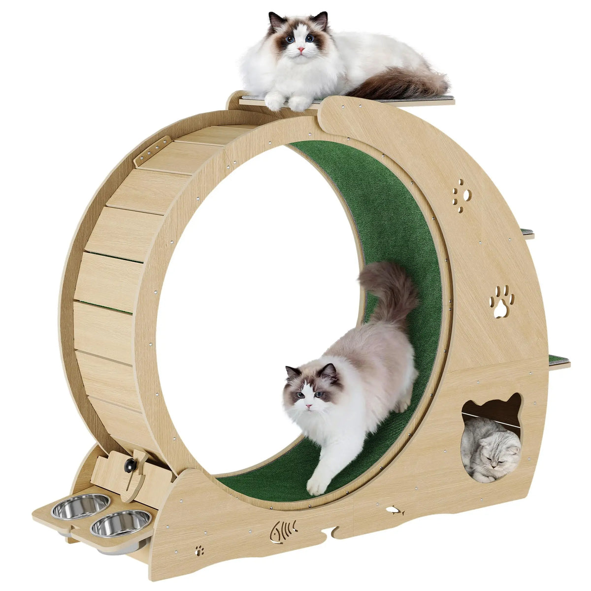 HiMiss 6-In-1 Large Quiet Cat Exercise Wheel With Bowls