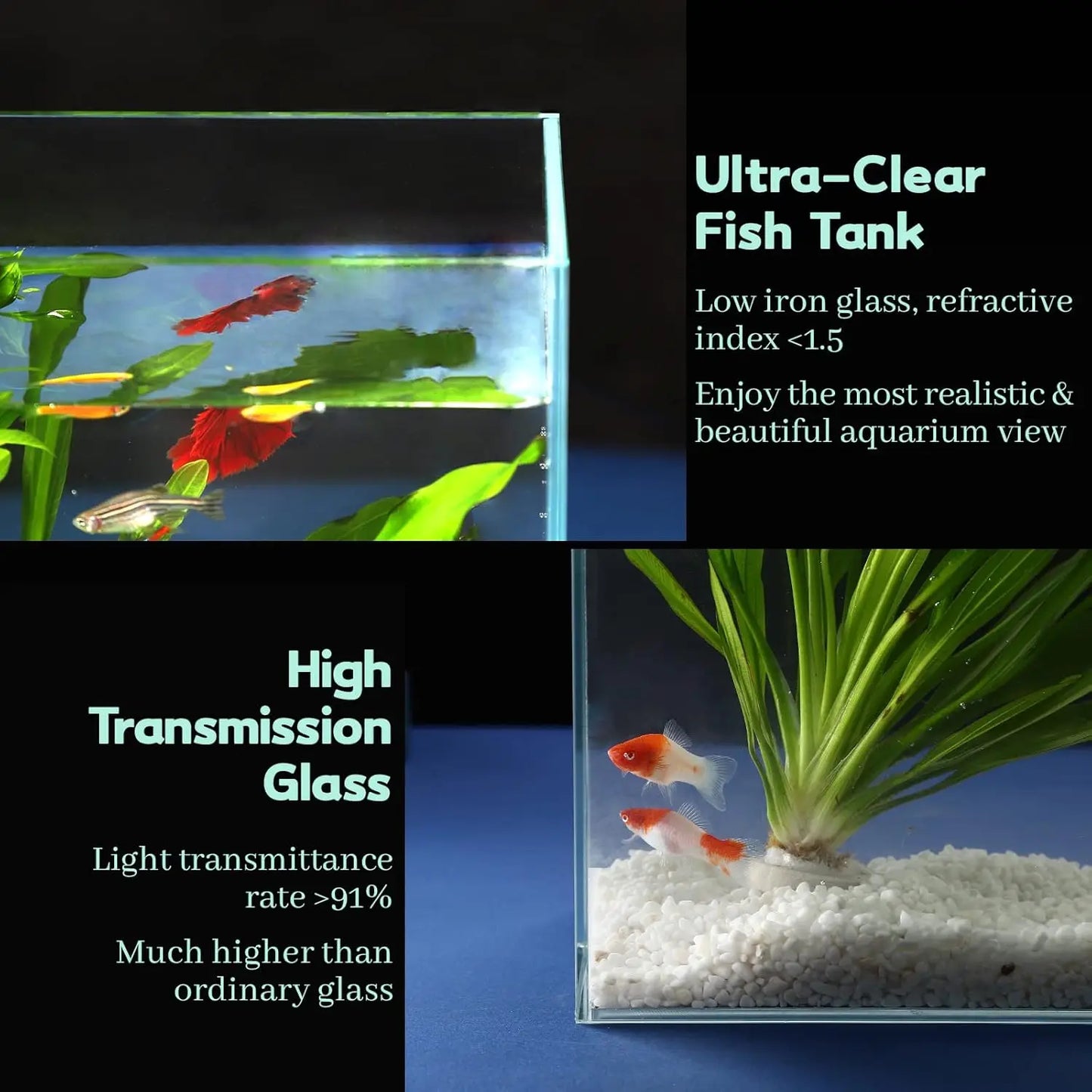 Rimless Glass Betta Aquarium With Cover Feeding Ring Cleaning Tools