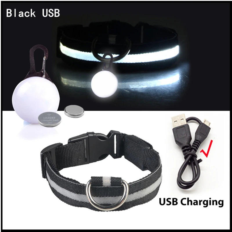 USB Charging Glowing Dog Collar With Pendant Detachable LED Light