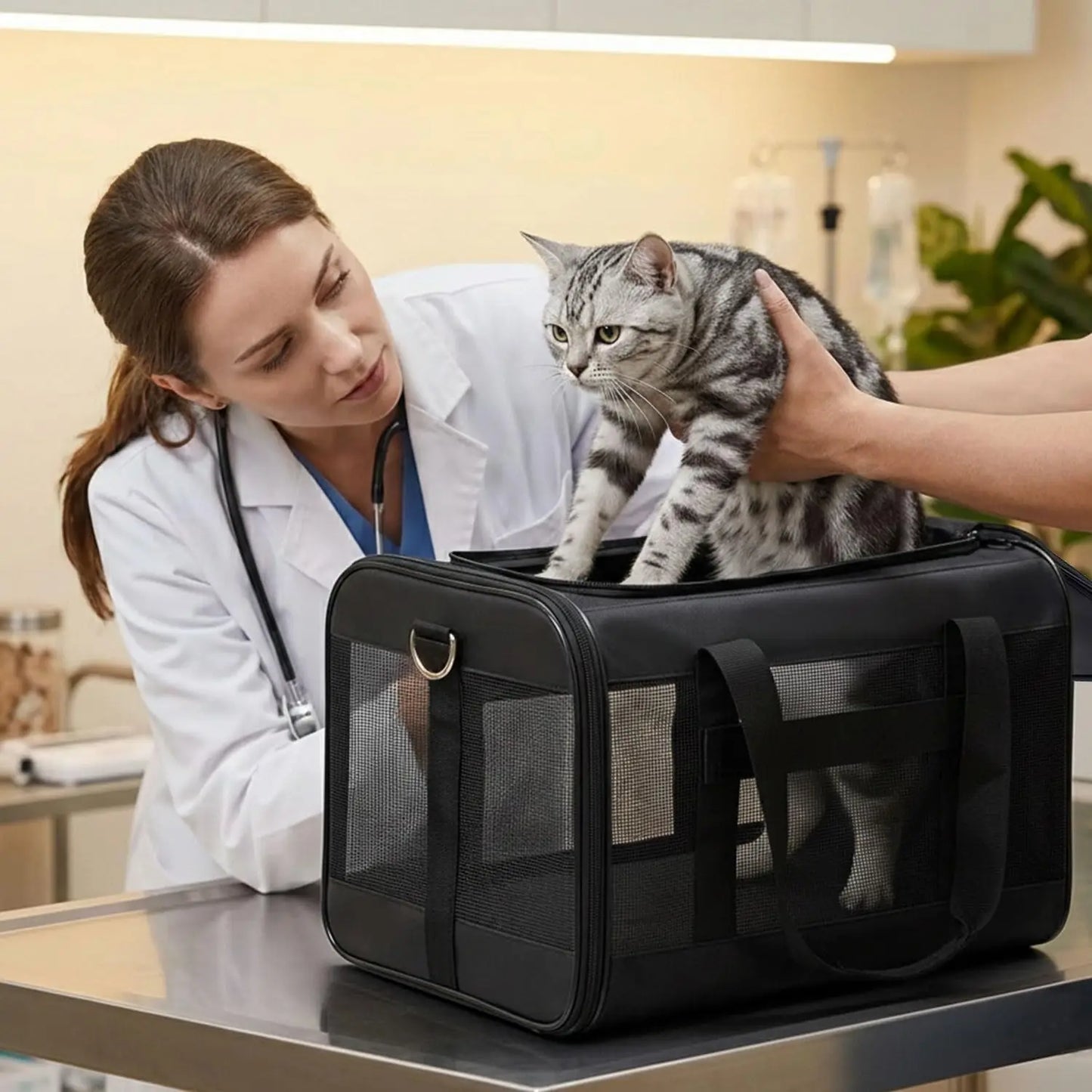Soft Sided Cat Carrier for Small Dogs Puppies up to 15 Lbs, Collapsible Pet Travel Carrier with Safety Leash and Shoulder Strap
