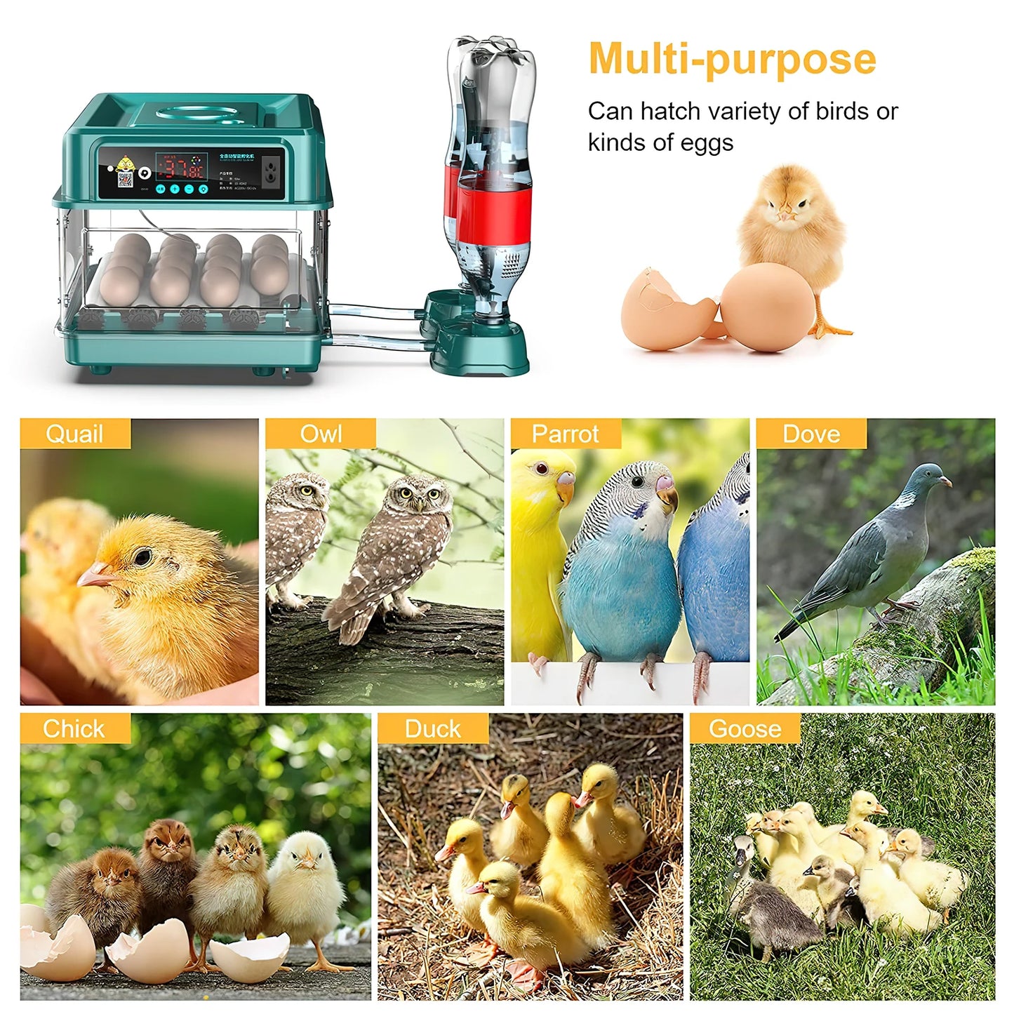Egg Automatic Incubator 24-60 Eggs Automatic Intelligent Incubators for Hatching Eggs,Poultry Hatching Machine for Chicken Duck