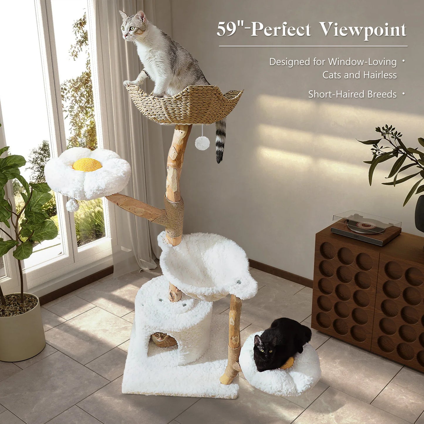 PEQULTI Solid Wood Cat Tree With Condo And Perches