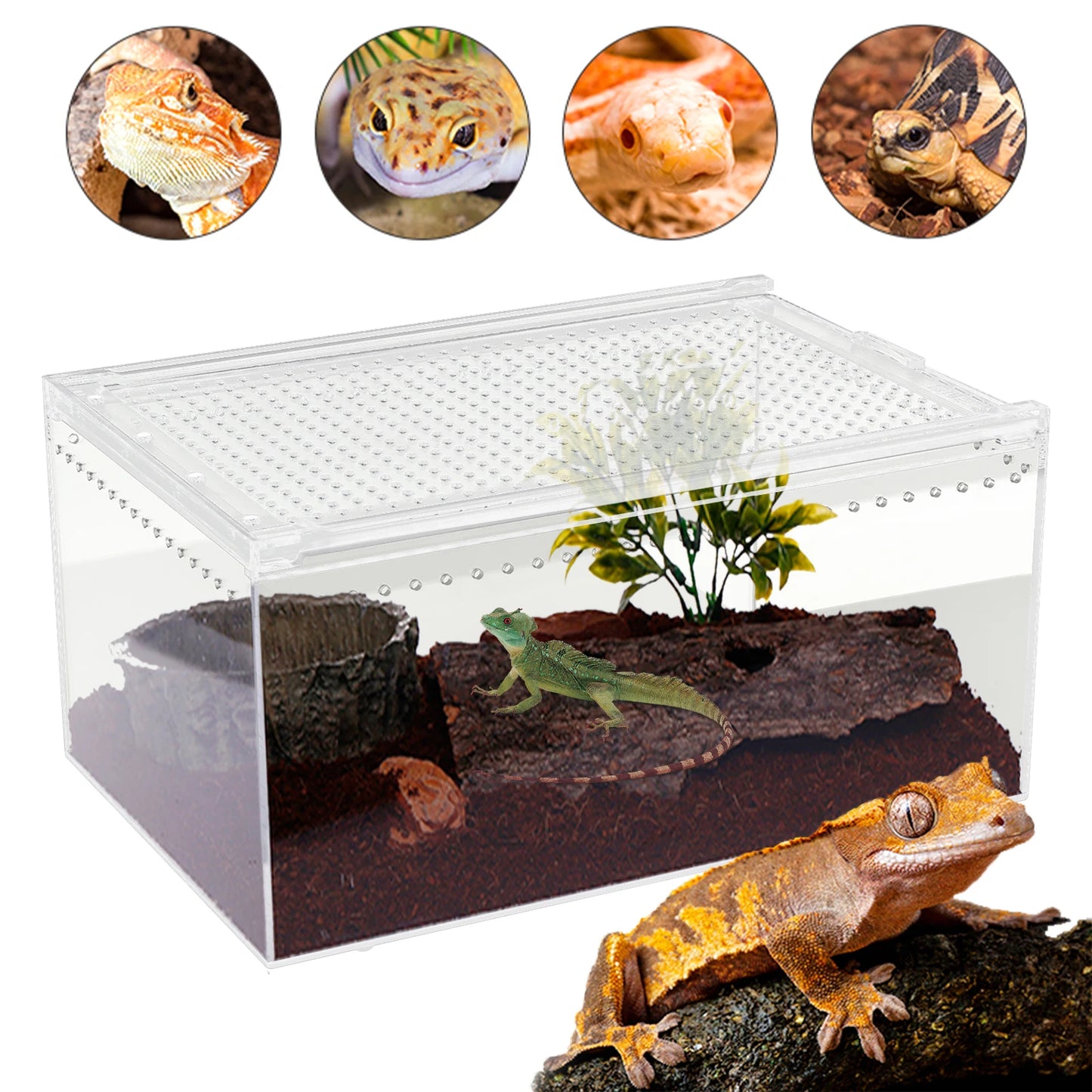 Bymaocar Acrylic Reptile Terrarium Stackable with Magnetic Lock Ventilation