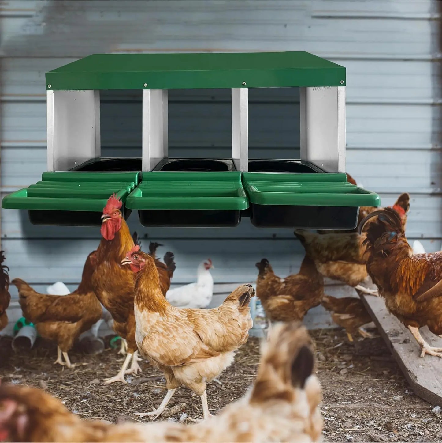HiMISS 3 Compartment Roll Out Nesting Box For Chicken Coop