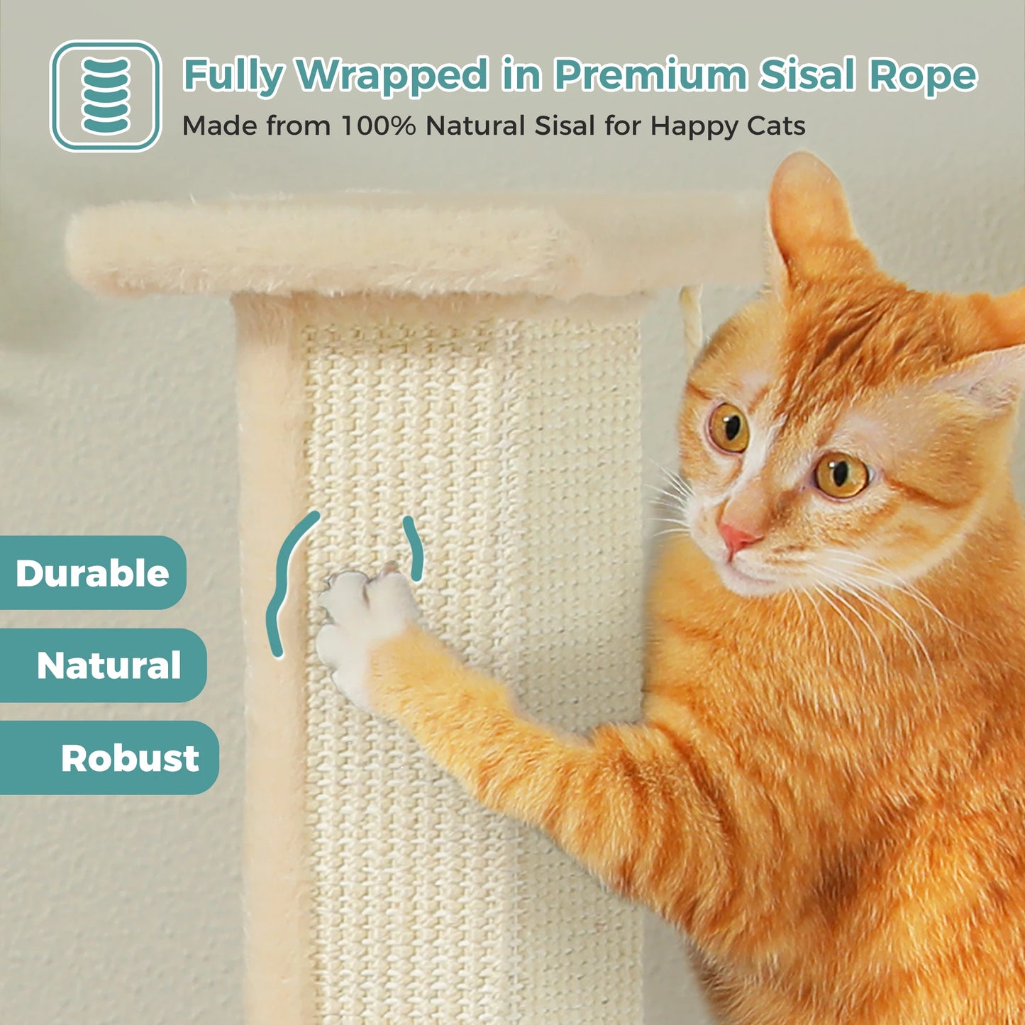 PAWZ Road Cat Scratching Post For Indoor Cats With Sisal