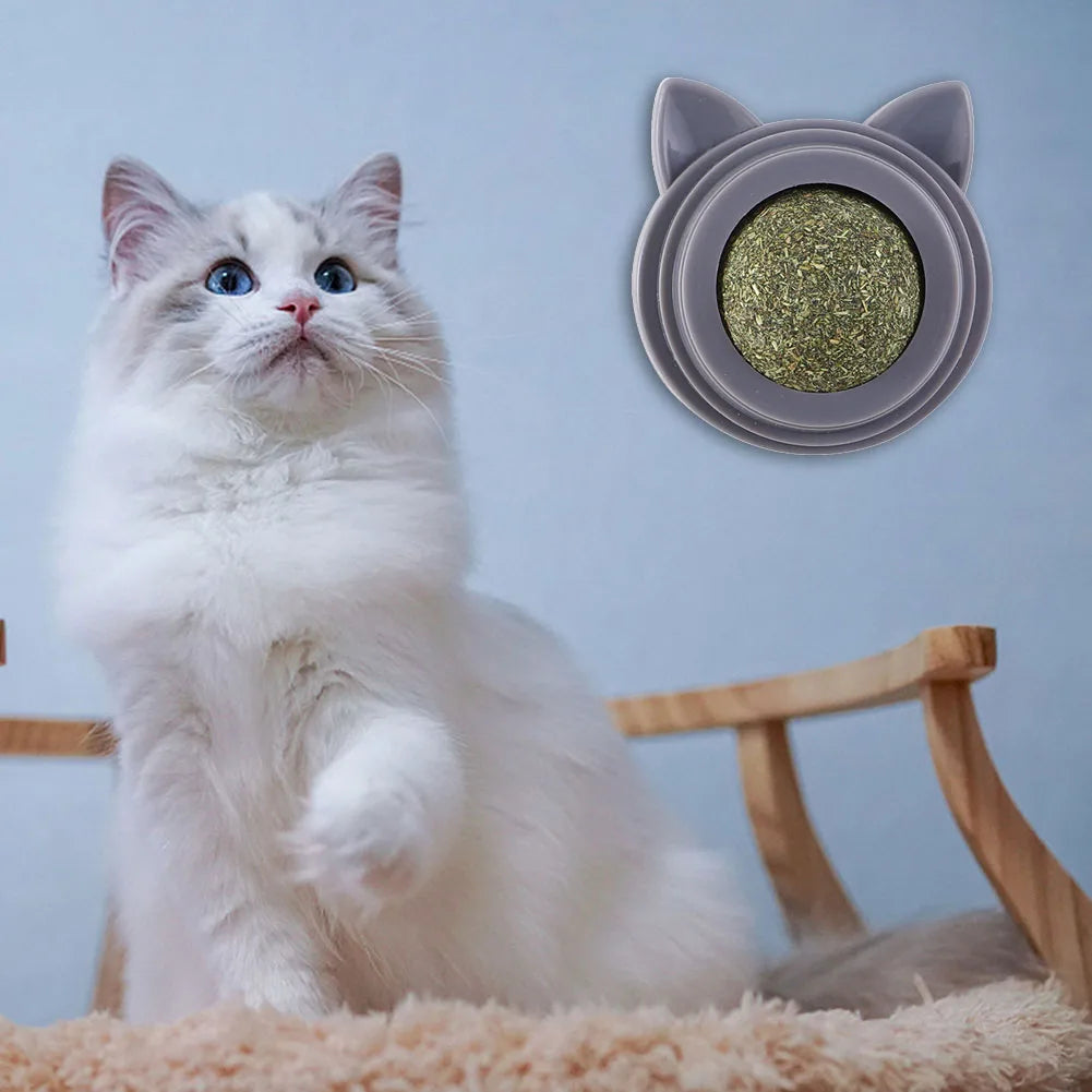Shunmaii Rotatable Cat Cleaning Toy Catnip Wall Balls for Cats