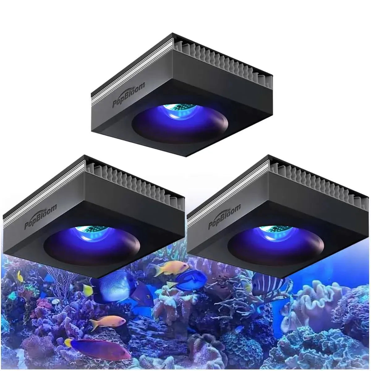 PopBloom RL90 WiFi Reef Aquarium LED Light Full Spectrum