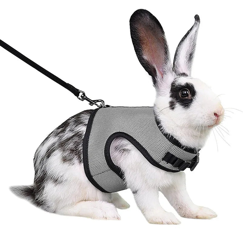 Summer Breathable Mesh Harness for Guinea Pigs, Rabbits, Ferrets
