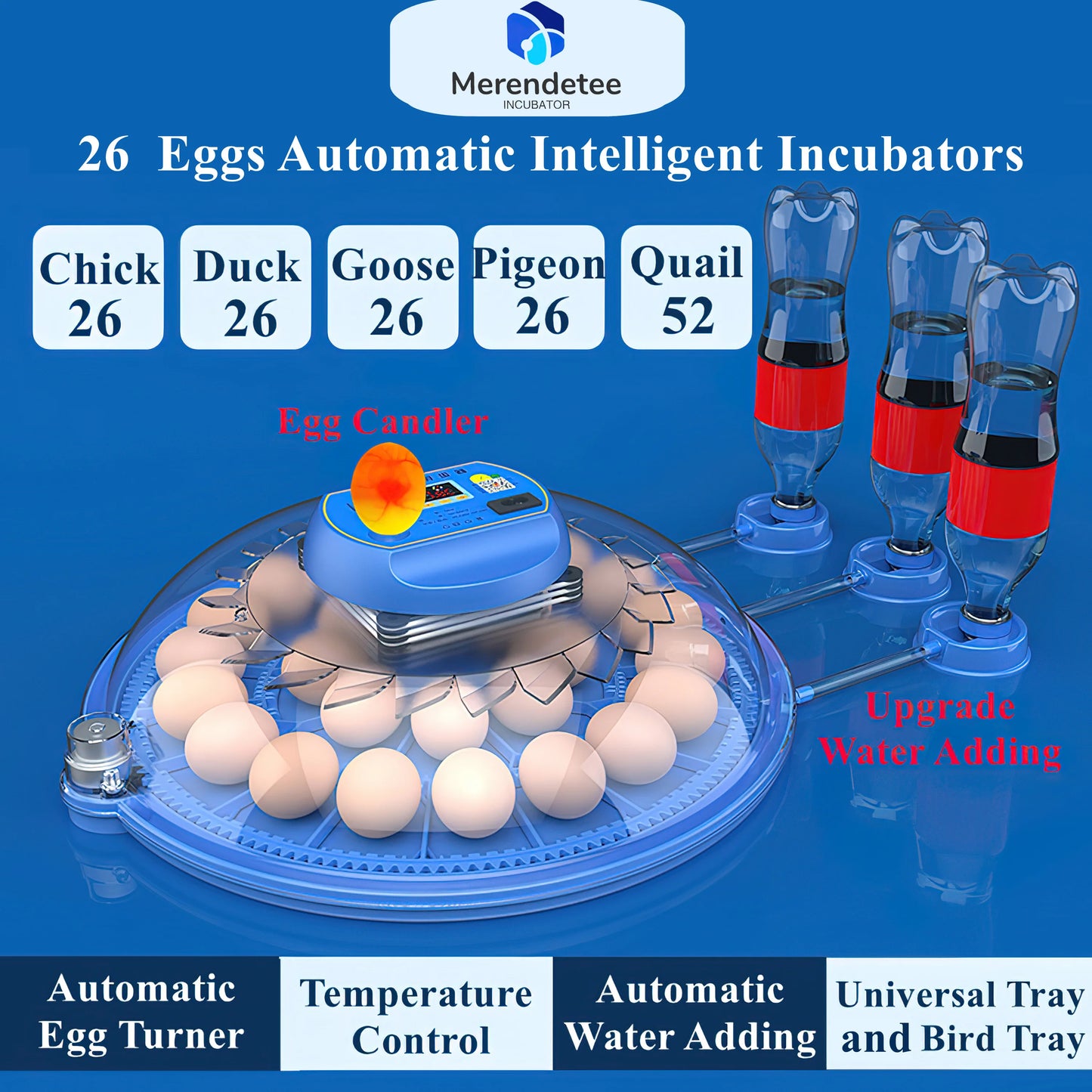 Automatic Egg Incubator With Watering System And 360 Degree View