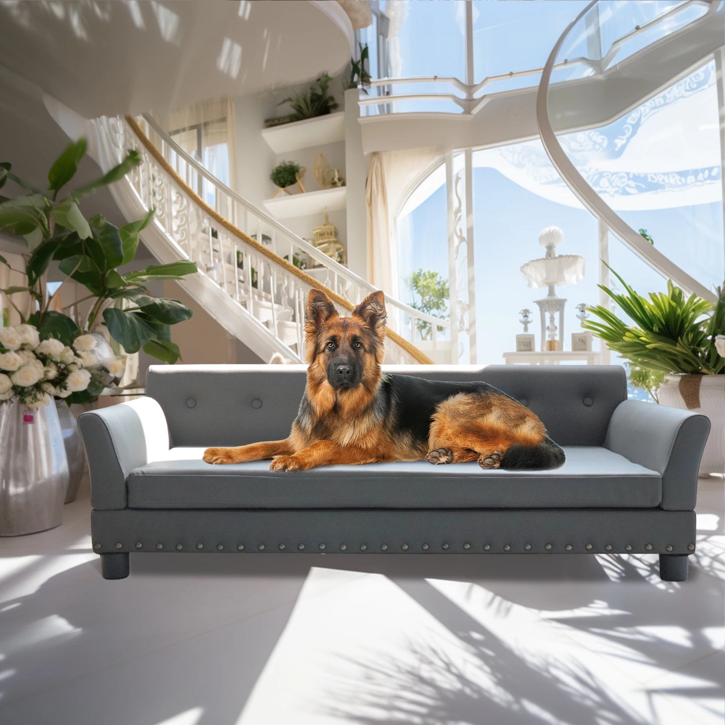 BINGOPAW Rectangle Elevated Dog Bed Durable Sofa For Dogs