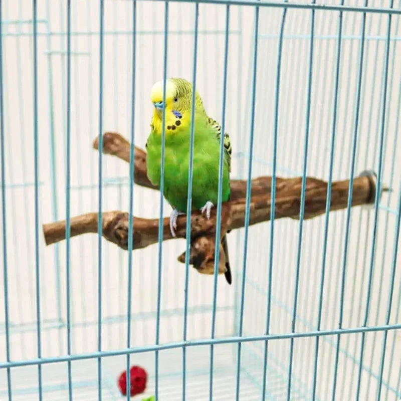 Grapewood Bird Perch For Parrots And Small Pets Chewing Toy
