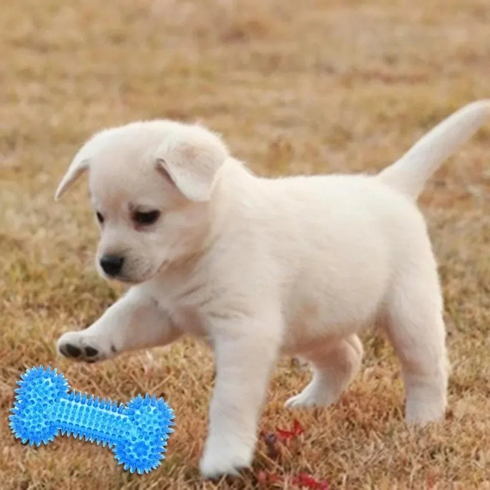 Summer Dog Chew Toys Teething Balls Durable Frozen Puppy Rubber Bone Toys Teeth Cleaning Bones Chewing Training Pet Supplies